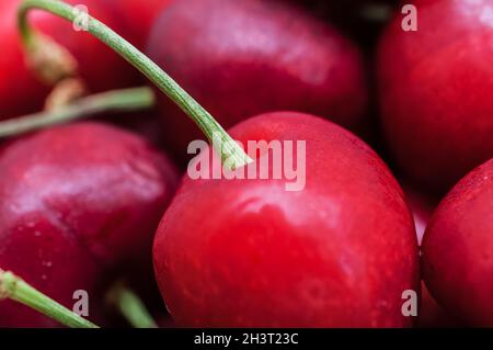 `s für süße Kirschen Stockfoto